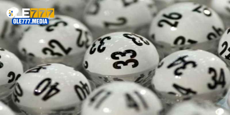 Những loại hình thầu đề phổ biến